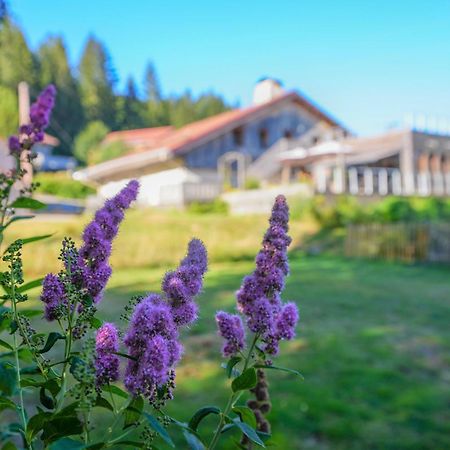 Auberge De La Poulciere ジェラールメ エクステリア 写真